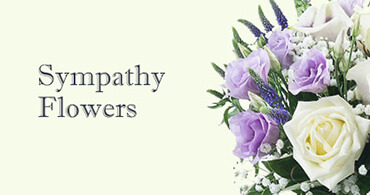 Sympathy Flowers Belsize Park