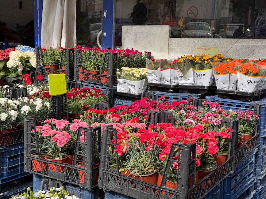 An outdoor flower market display features numerous plastic crates filled with vibrant, freshly-bloomed carnations in shades of pink, red, white, and orange. Each flower is arranged in small terracotta